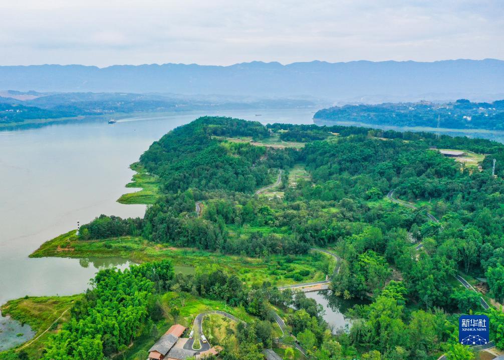 新云顶红包城